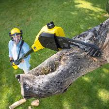 Best Weed Control  in Friars Point, MS